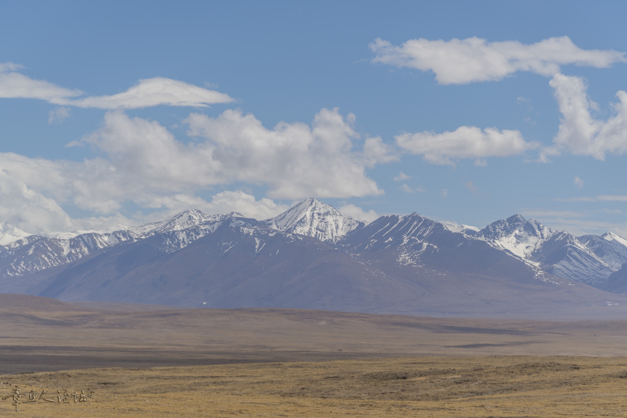 DSC_5473.JPG