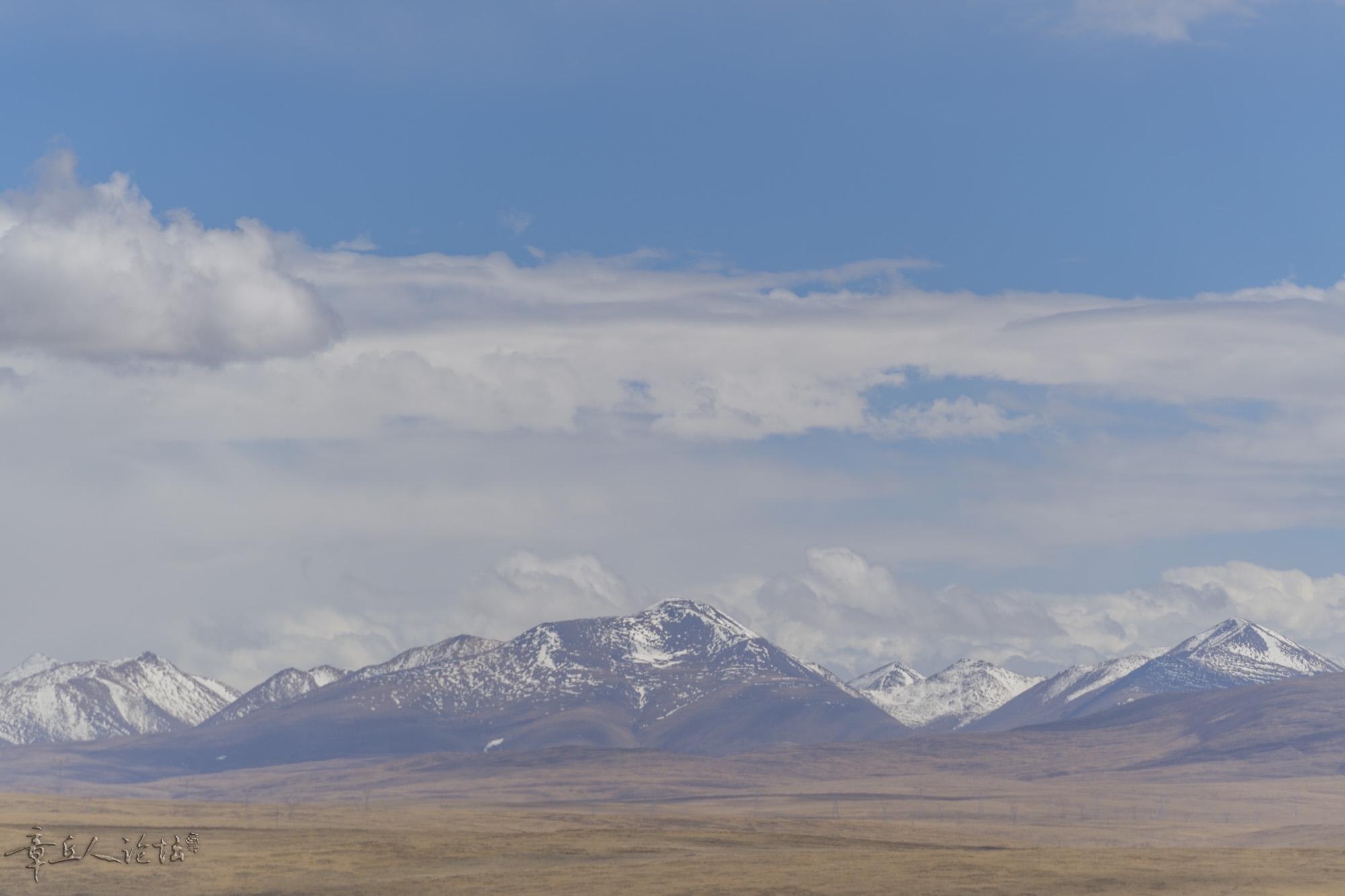DSC_5491.JPG