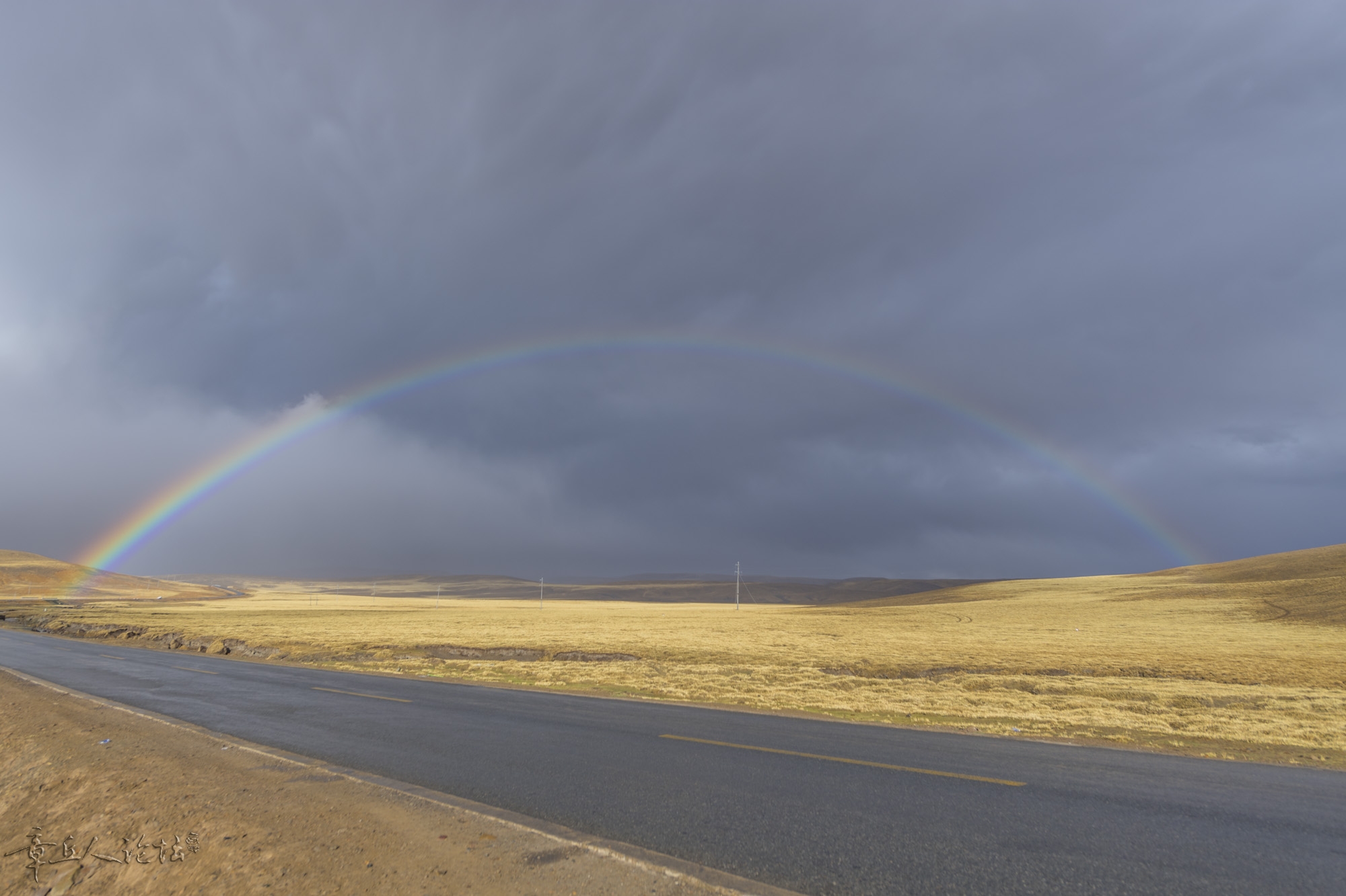 DSC_5503.JPG