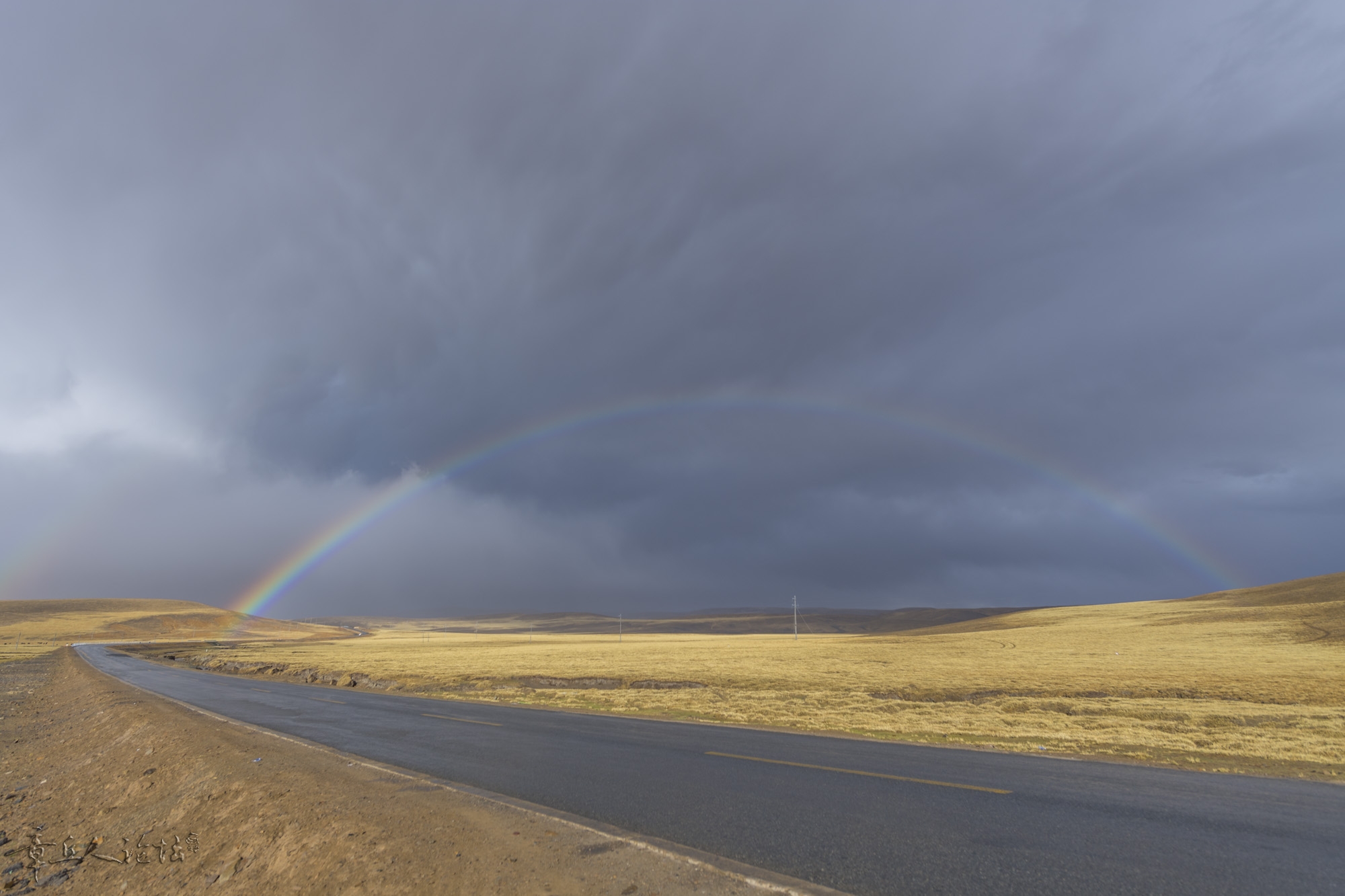 DSC_5511.JPG