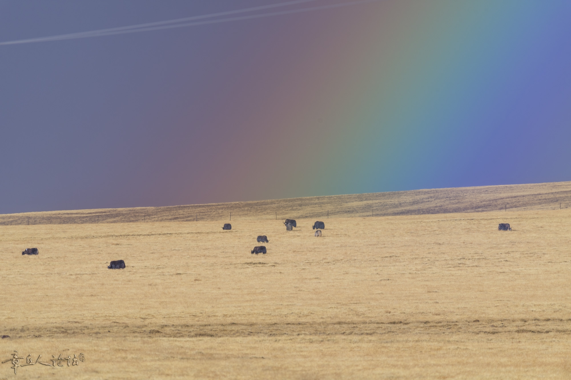 DSC_5518.JPG