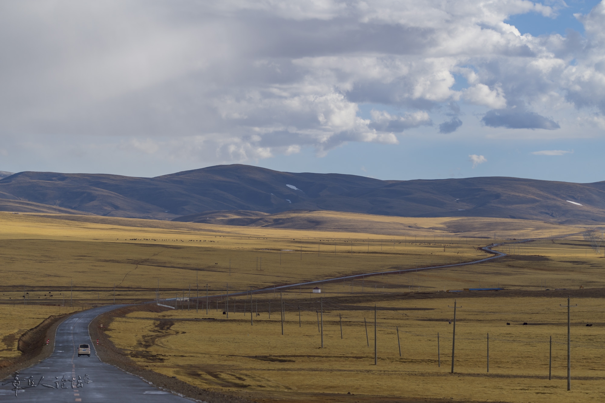 DSC_5536.JPG