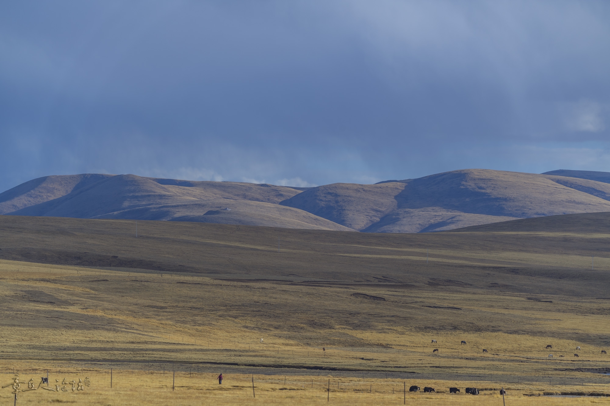 DSC_5562.JPG