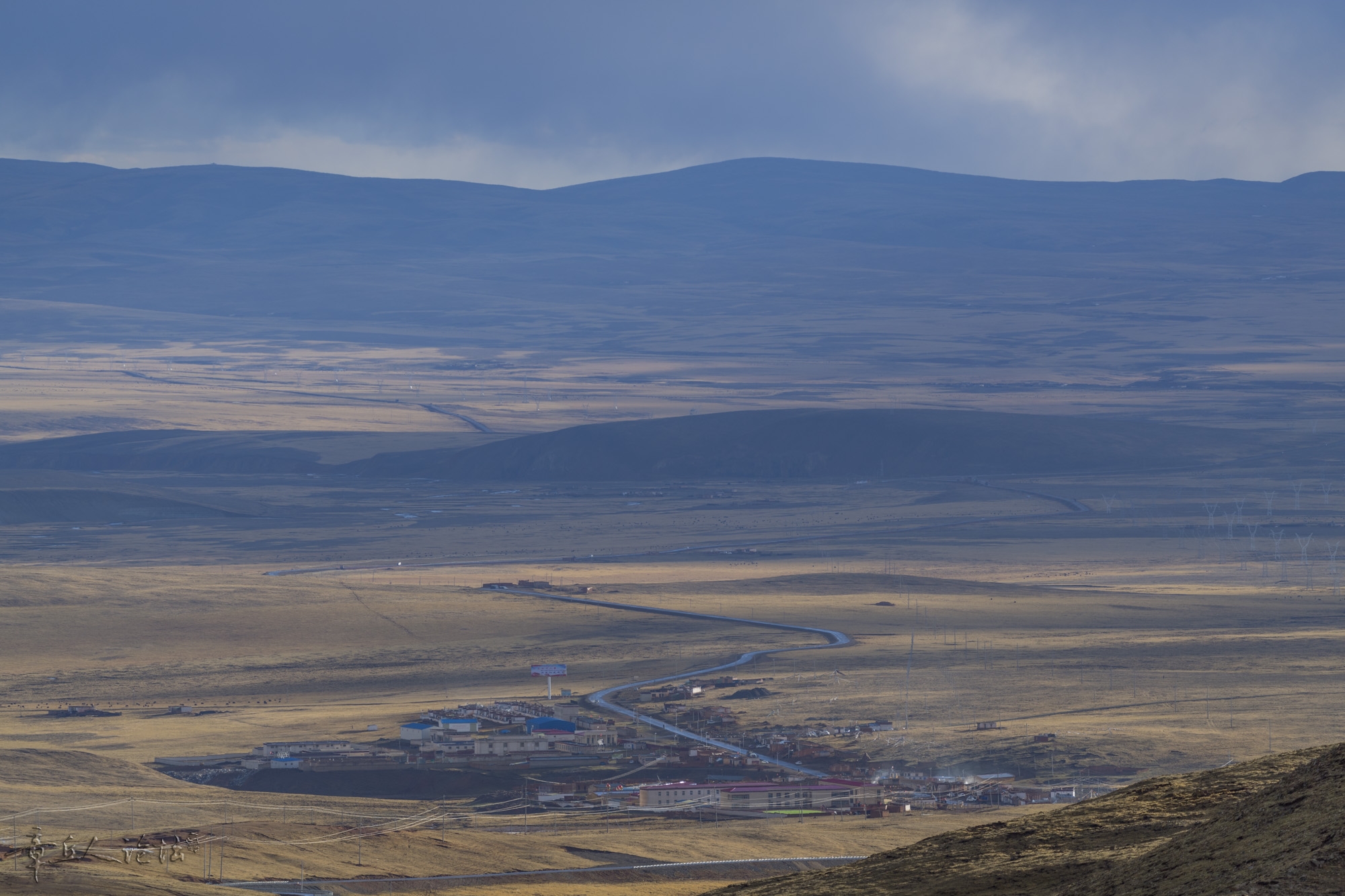 DSC_5600.JPG
