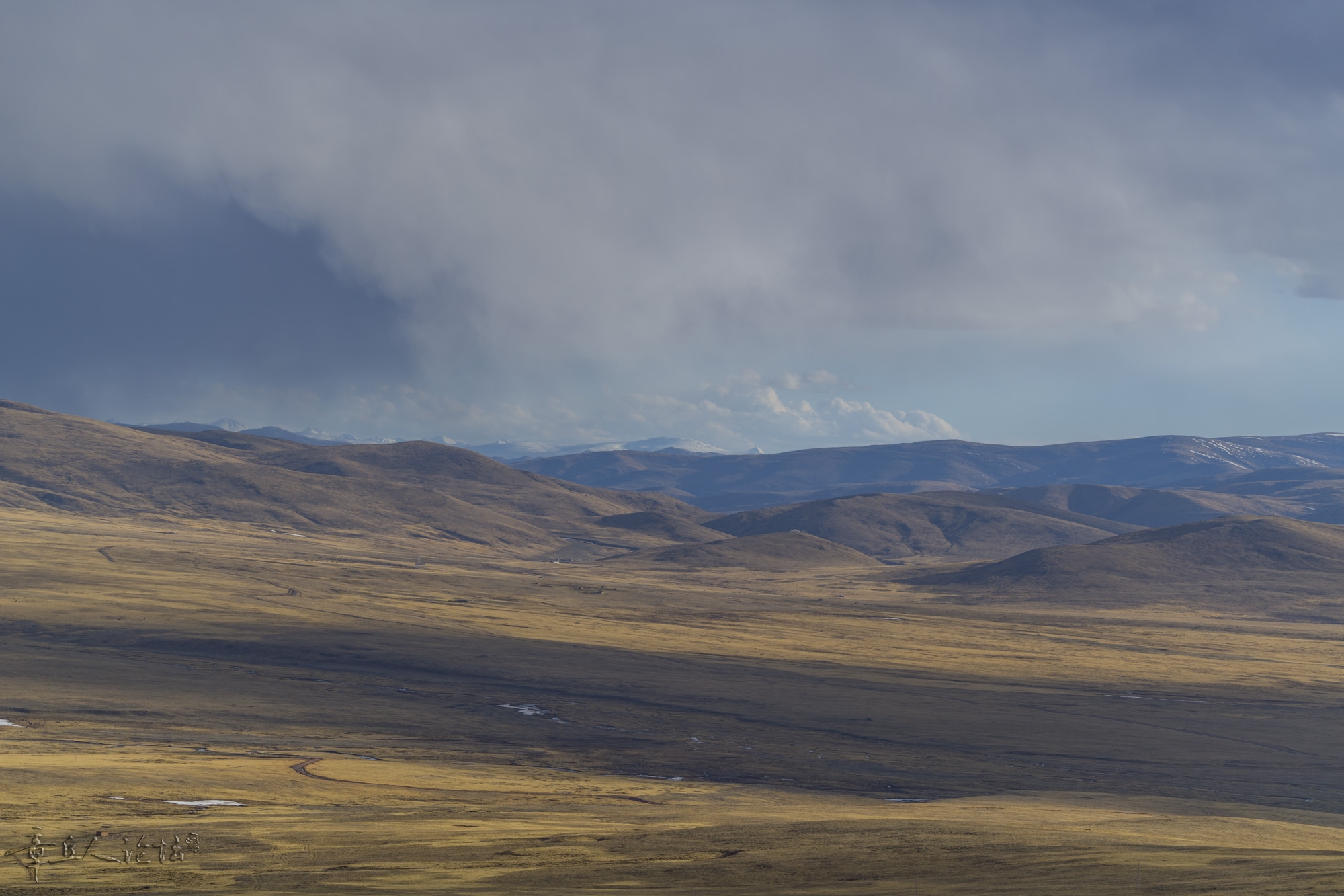 DSC_5602.JPG
