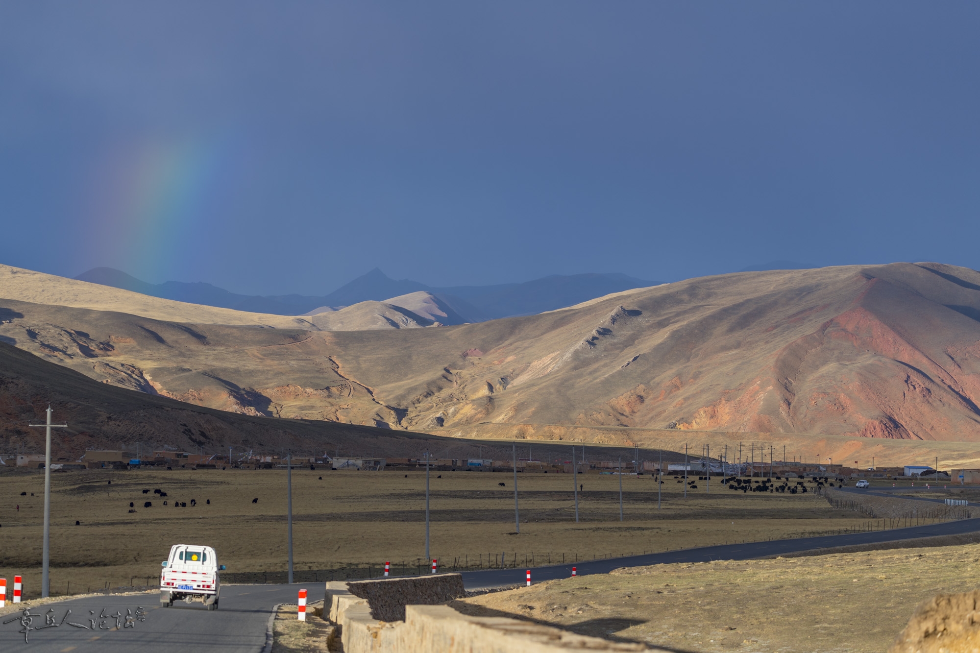DSC_5618.JPG