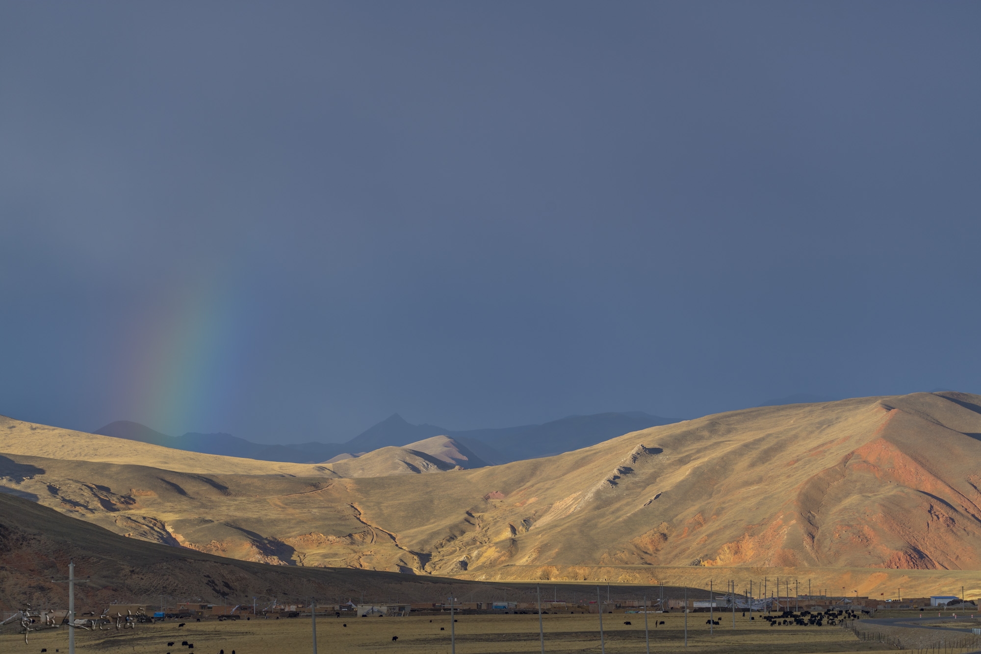 DSC_5634.JPG