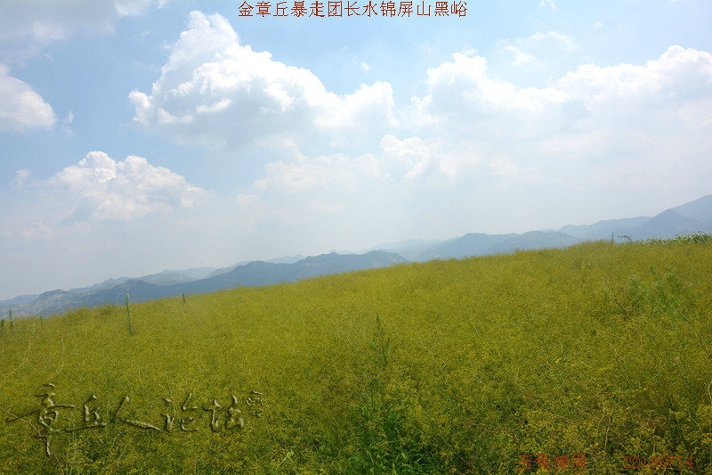 照片 212.jpg