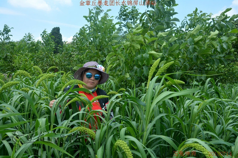 照片 244.jpg