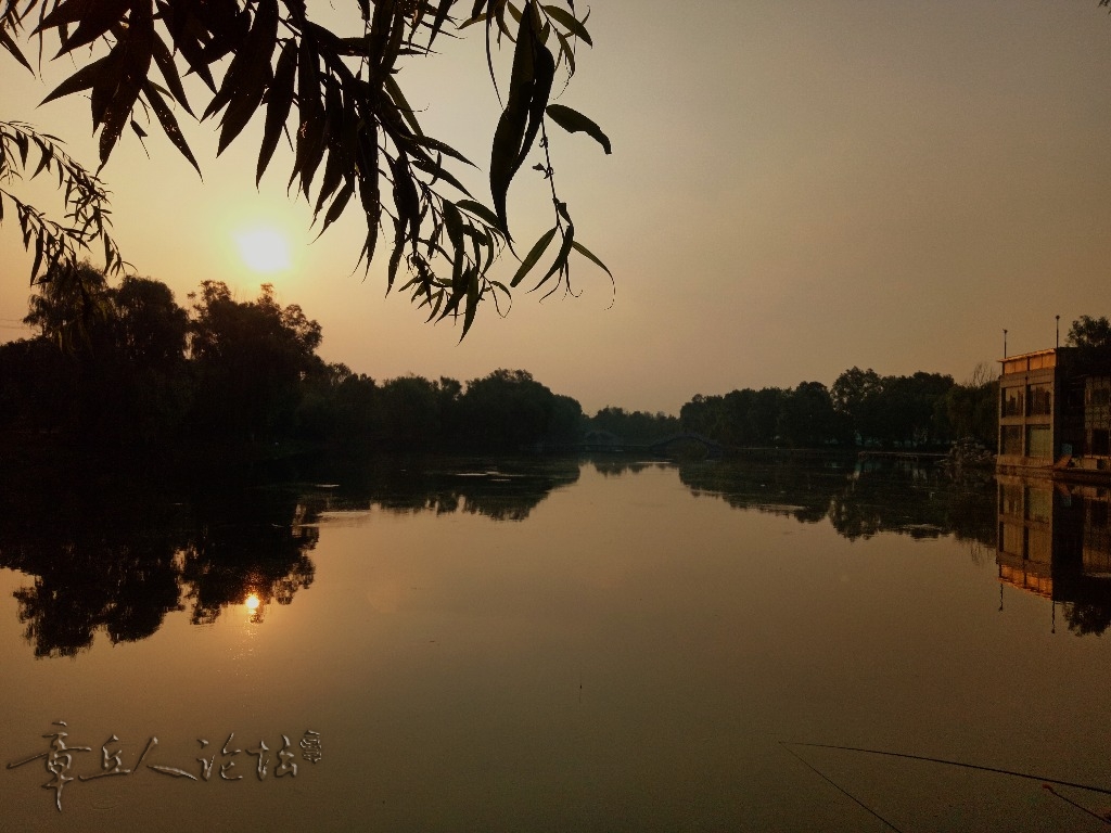 IMG20180716060750_mix01.jpg