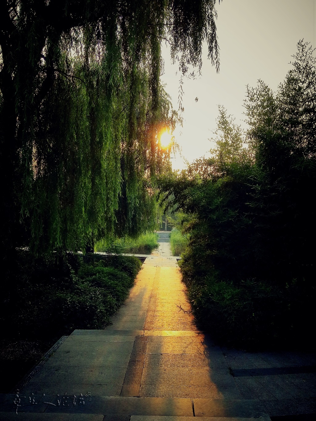 IMG20180716062225_mix01.jpg