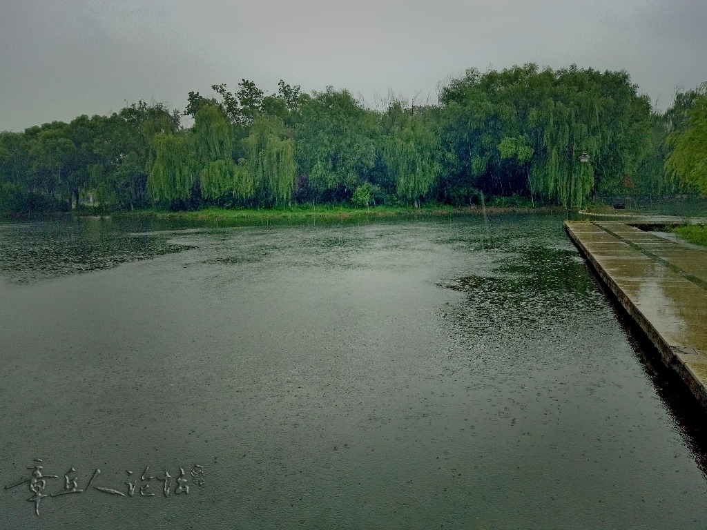 IMG20180814093607_mix02.jpg
