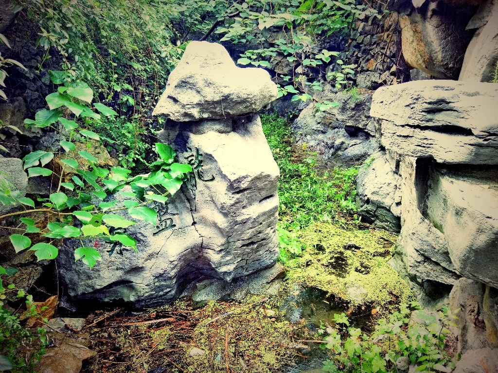 IMG20180814094355_mix01.jpg