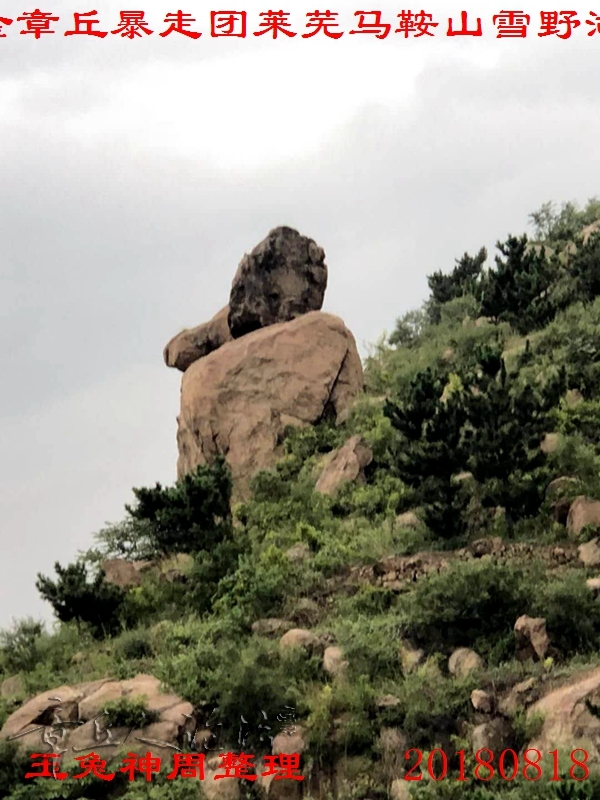 微信图片_201808201250594.jpg