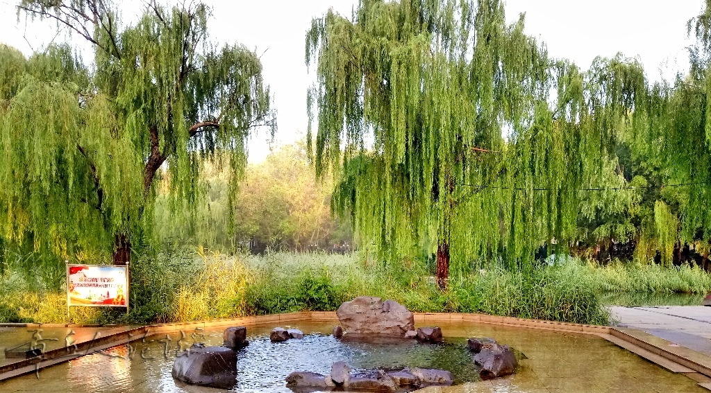 IMG20180821060701_mix01.jpg