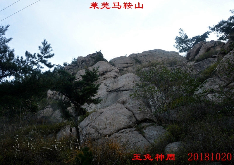 DSC_0068.jpg