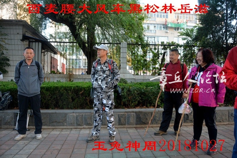照片 015.jpg