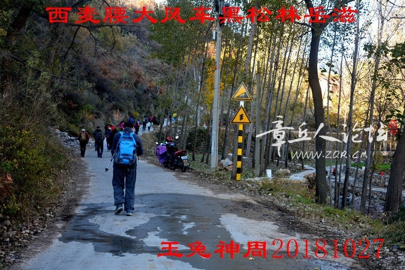 照片 032.jpg