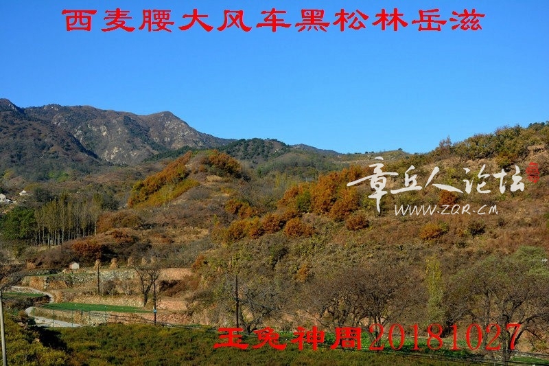 照片 043.jpg