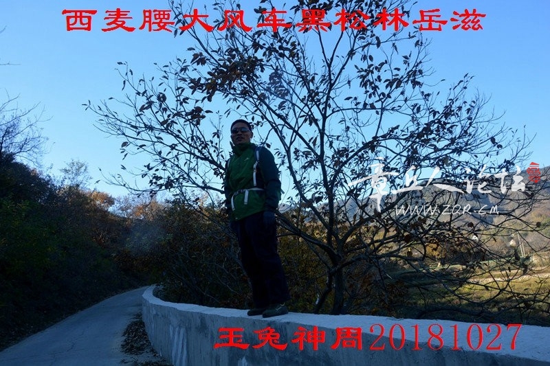照片 045.jpg