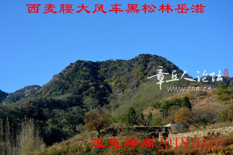 照片 051.jpg