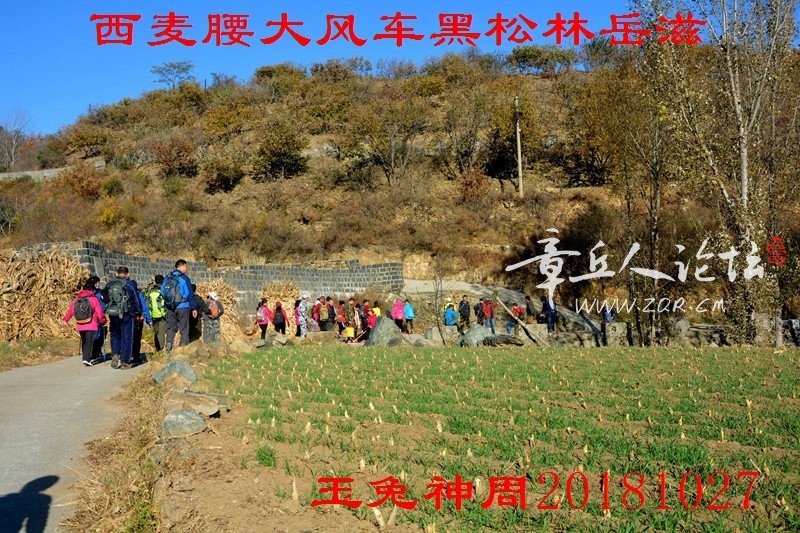 照片 056.jpg