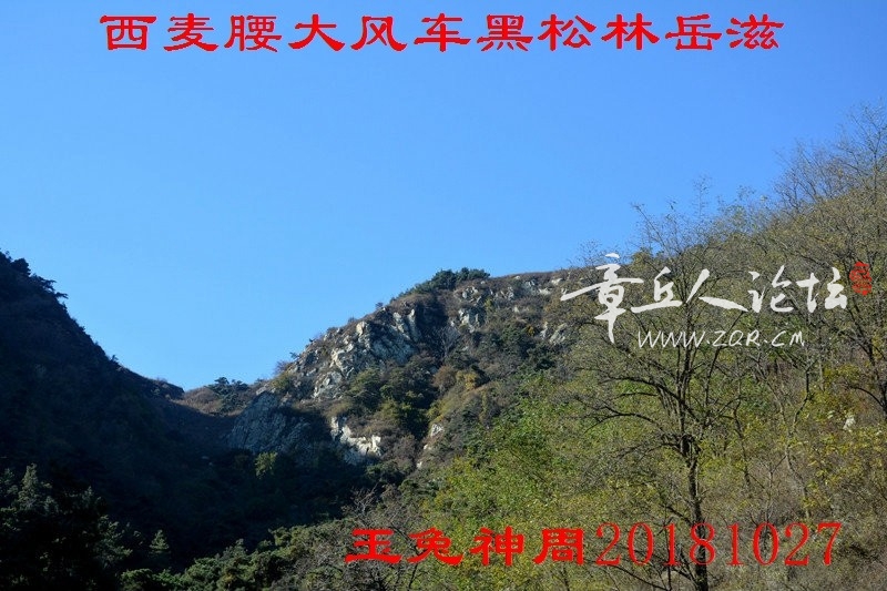 照片 100.jpg