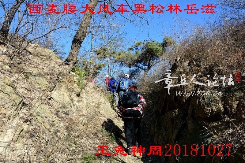 照片 106.jpg