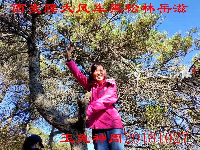 微信图片_20181027192642.jpg