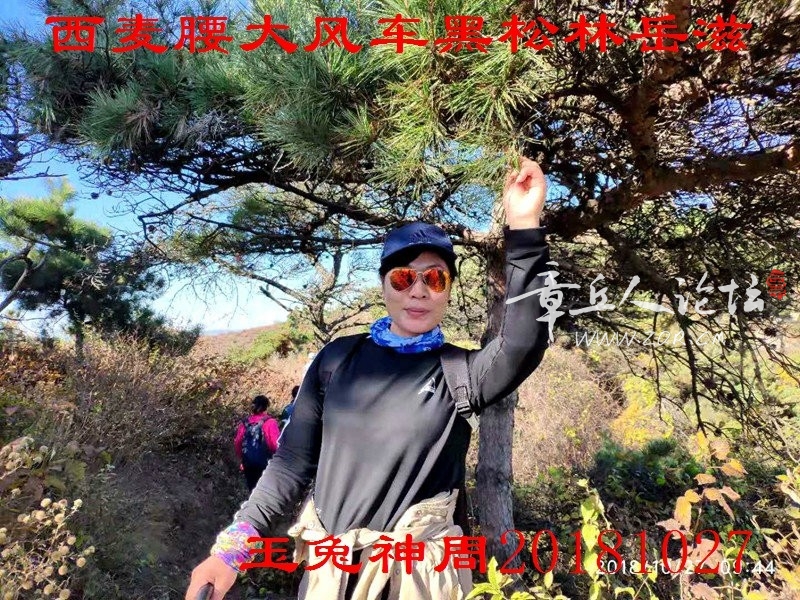 微信图片_20181027192711.jpg