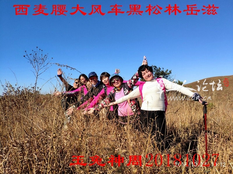 微信图片_20181027192903.jpg