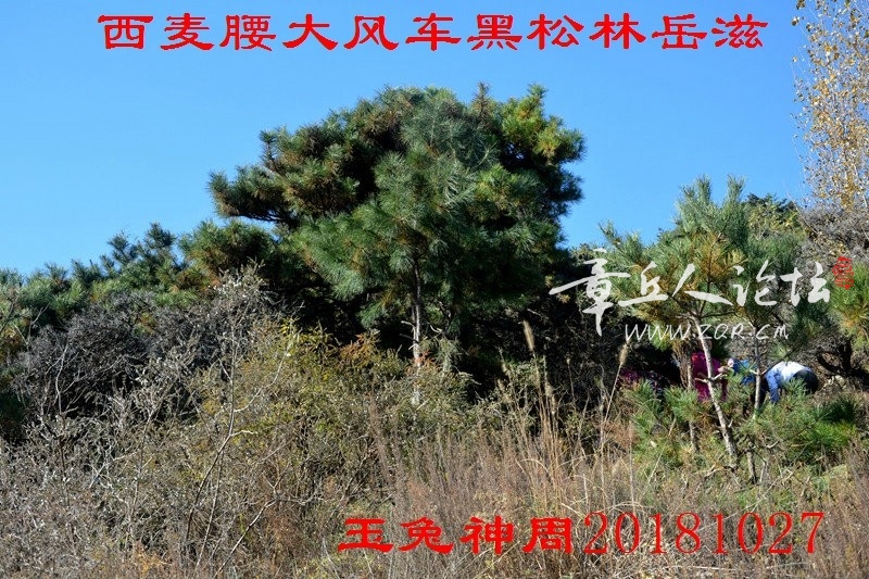 照片 111.jpg