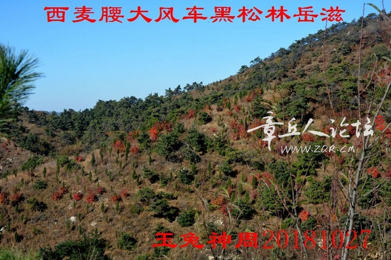 照片 121.jpg