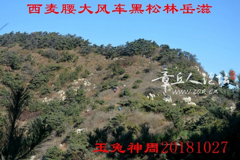 照片 122.jpg