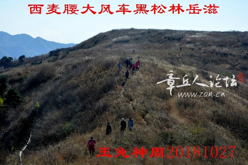 照片 150.jpg