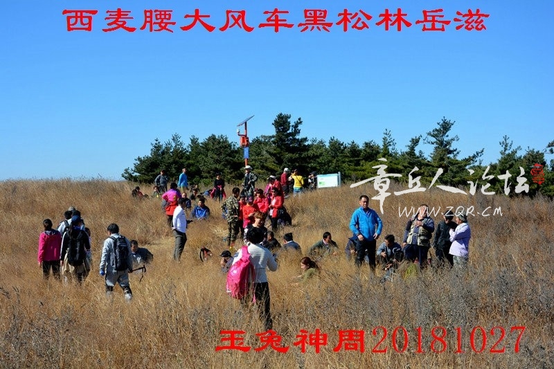 照片 154.jpg