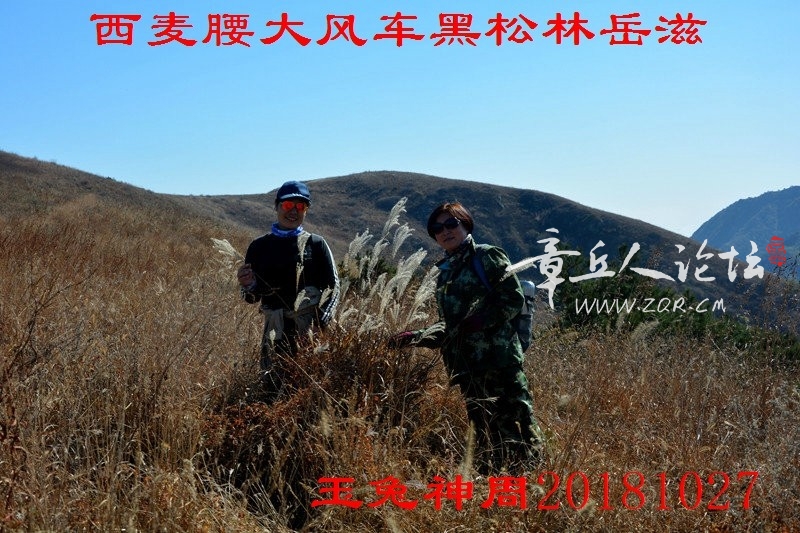 照片 173.jpg