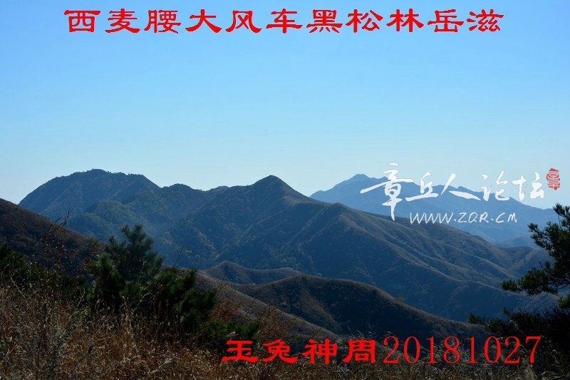 照片 175.jpg