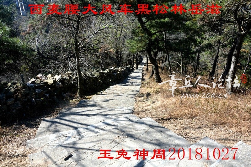 照片 182.jpg