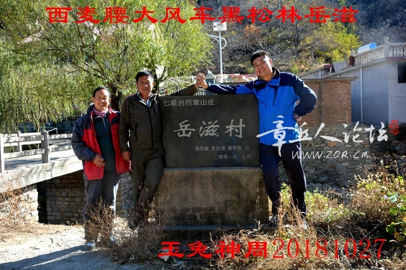 照片 232.jpg