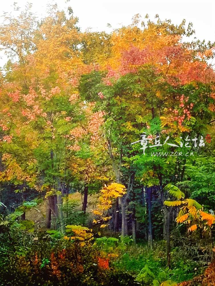 IMG20181031065852_mix01.jpg