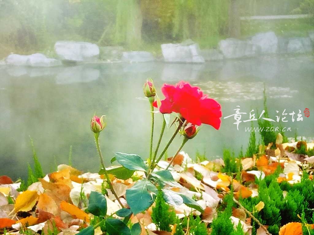 IMG20181031065810_mix01.jpg