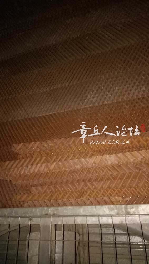 IMG20181104180816.jpg