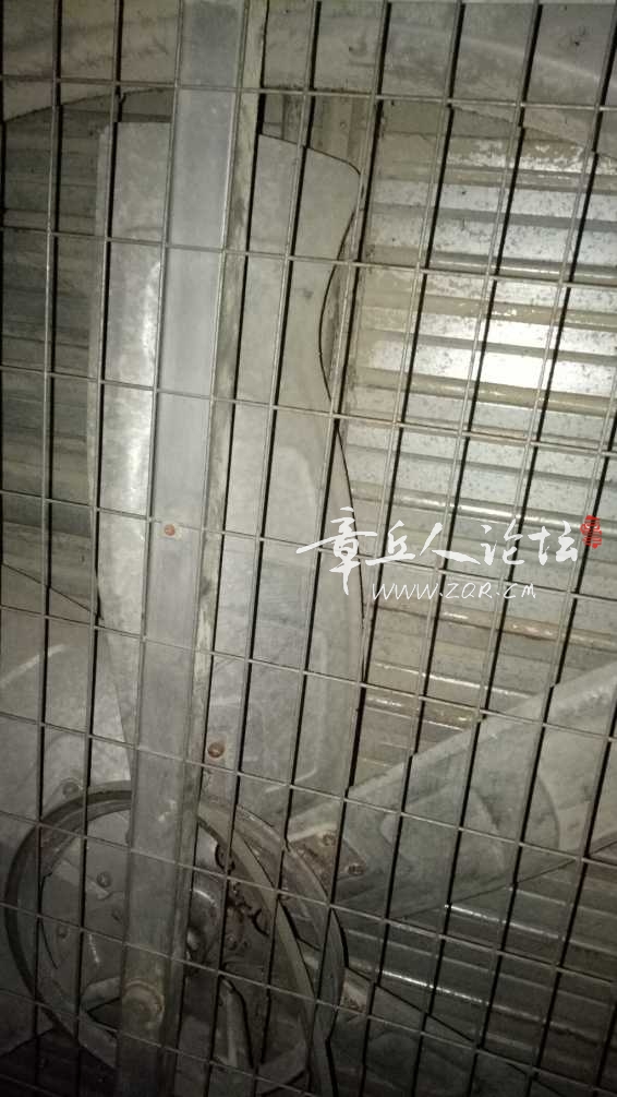 IMG20181104180812.jpg