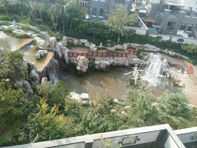 IMG_20181014_094403.jpeg