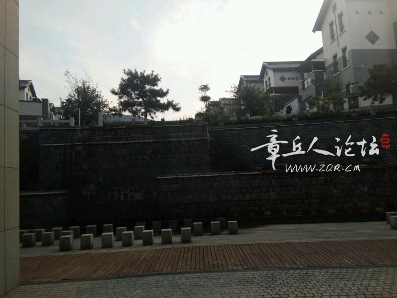 IMG_20181014_093601.jpeg