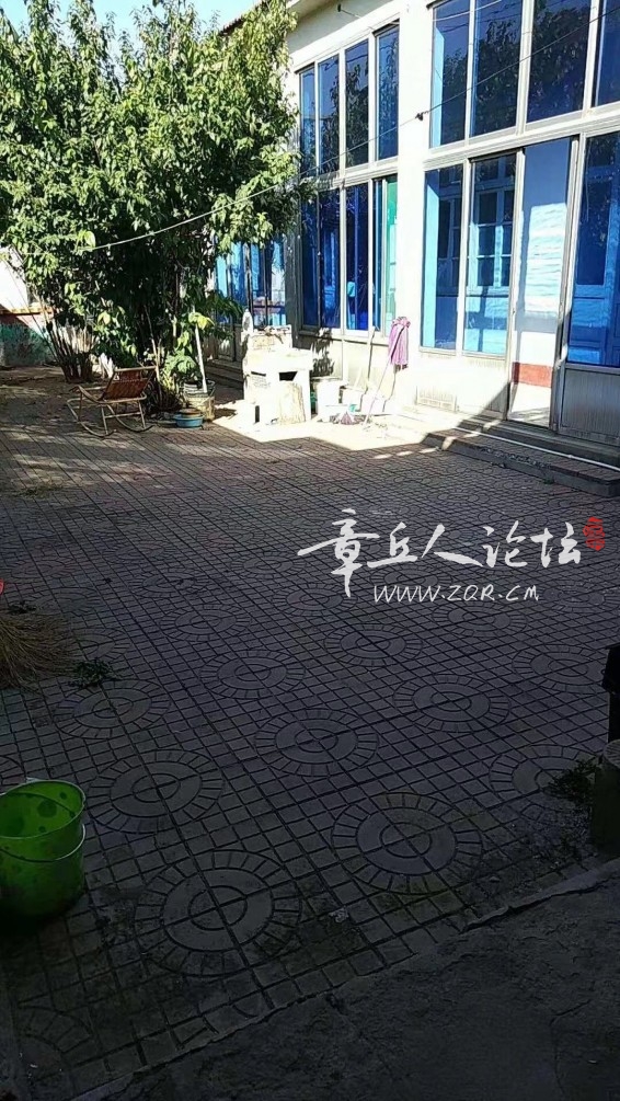 庭院（请爱护梅花）