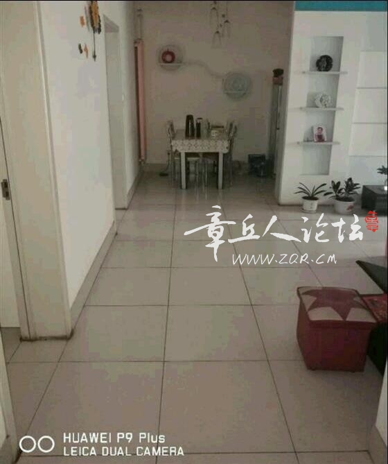 mmexport1543972157588.jpeg