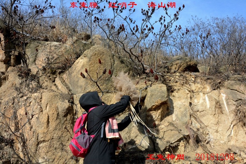 照片 309.jpg