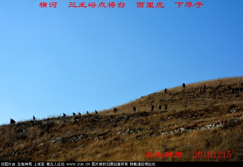 照片 145.jpg